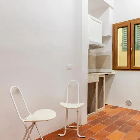 Central Cool Apt S. Spirito, Ac Florence Exterior photo