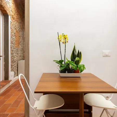 Central Cool Apt S. Spirito, Ac Florence Exterior photo