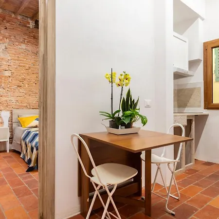 Central Cool Apt S. Spirito, Ac Florence Exterior photo